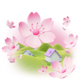 Cherry Blossoms TikTok LIVE gift