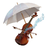 Chopin in the Rain TikTok LIVE gift