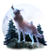 Wolf TikTok LIVE gift
