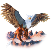 Griffin TikTok gift