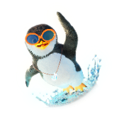 Penguin TikTok LIVE gift
