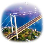 Bosphorus Bridge TikTok LIVE gift