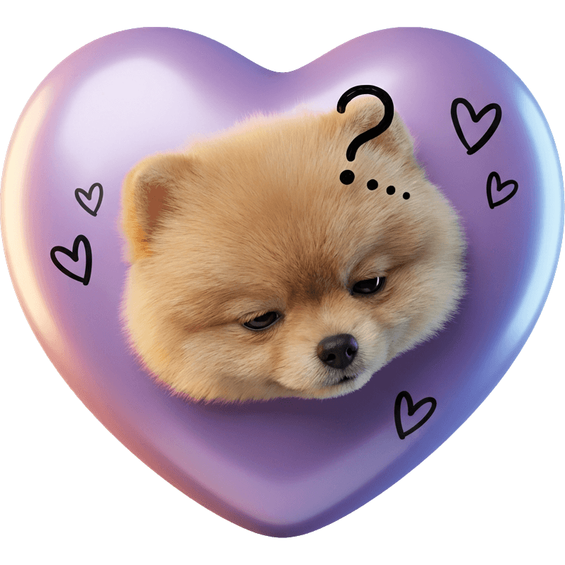 Pudding Snooze TikTok LIVE gift