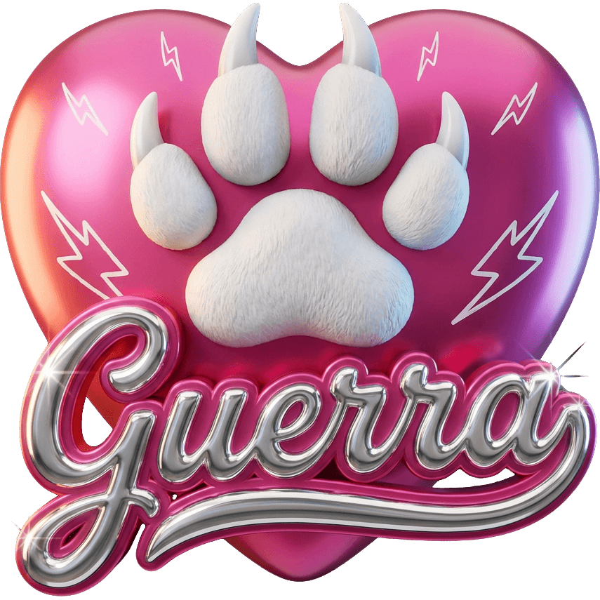 Team Guerra Stef TikTok LIVE gift