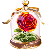 Forever Rosa TikTok LIVE gift