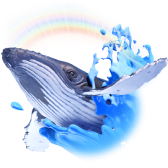 Sam the Whale TikTok gift