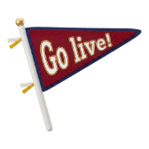 Go Live! TikTok LIVE gift