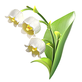 Lily of the valley TikTok LIVE gift