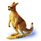 Kangaroo Surfer TikTok LIVE gift