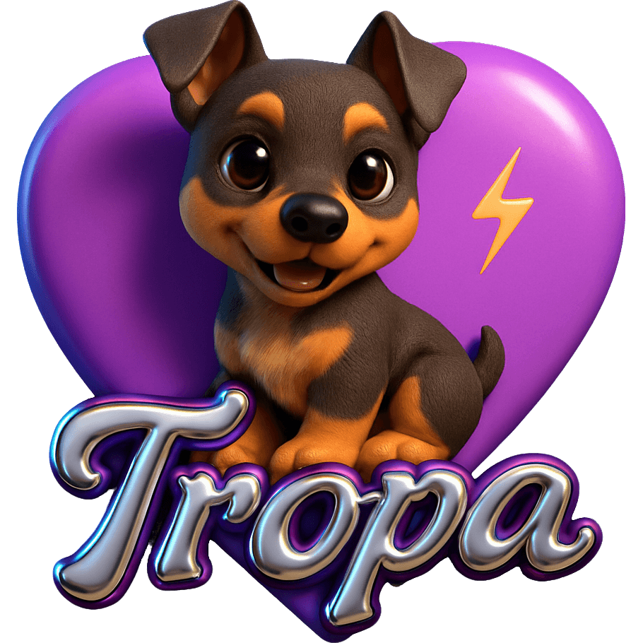 Vaguim TikTok LIVE gift