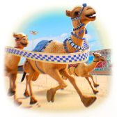 Desert Glory TikTok LIVE gift