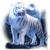White Tiger TikTok LIVE gift