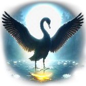 Black Swan TikTok LIVE gift