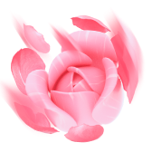 Flower Show TikTok LIVE gift