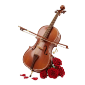 Cello Romance TikTok LIVE gift