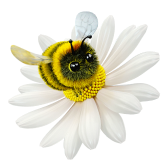 Flower Flight TikTok LIVE gift