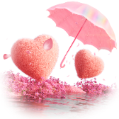 Love Shelter TikTok LIVE gift