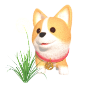 Taraxacum Corgi TikTok LIVE gift
