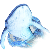 Whale diving TikTok LIVE gift
